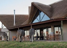 JBay Zebra Lodge – Thornhill